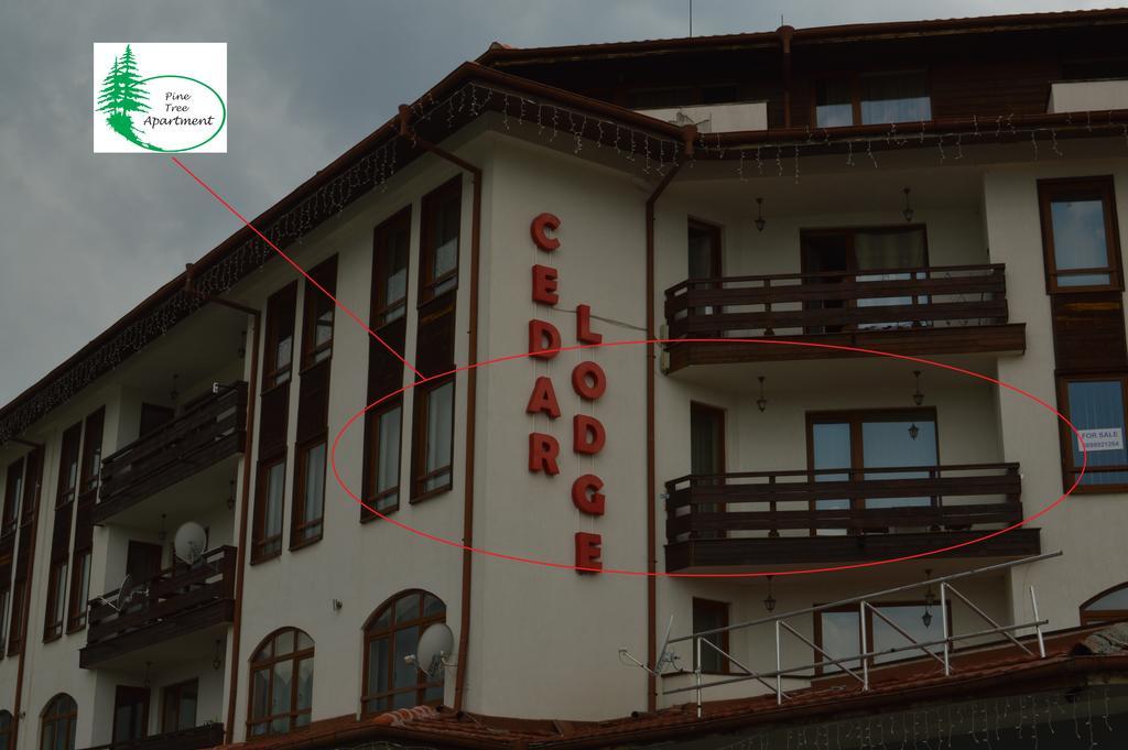 Pine Tree Apartment D34 Bansko Exterior photo