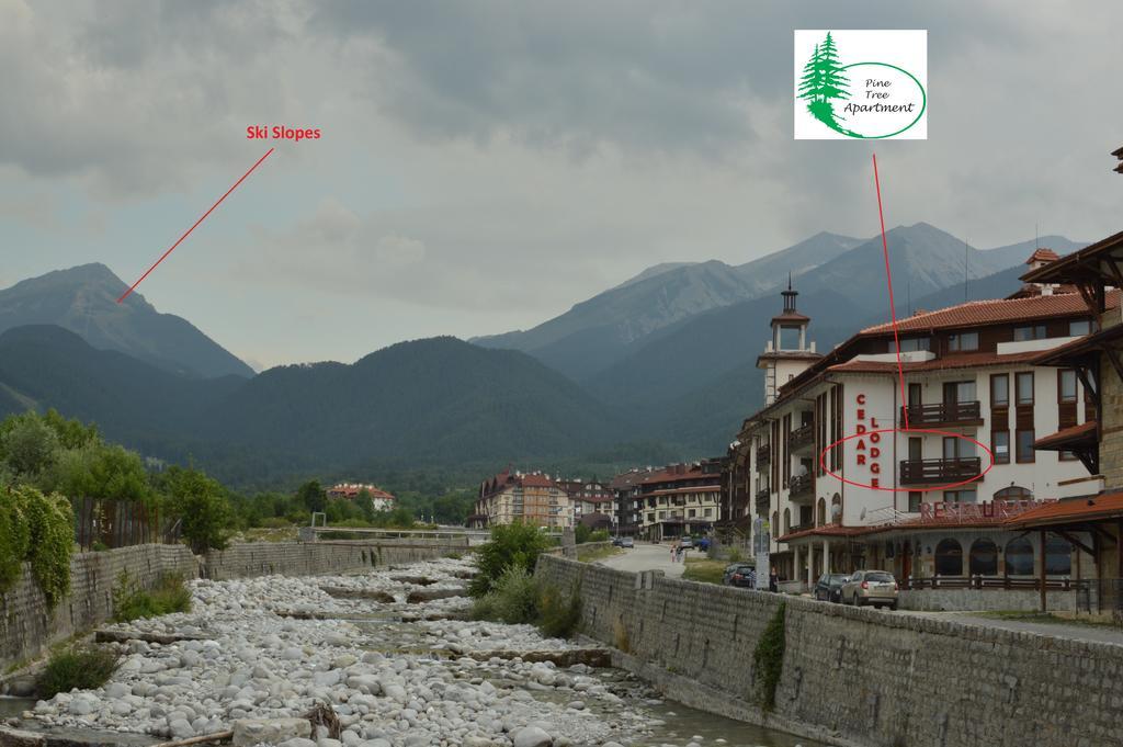 Pine Tree Apartment D34 Bansko Exterior photo
